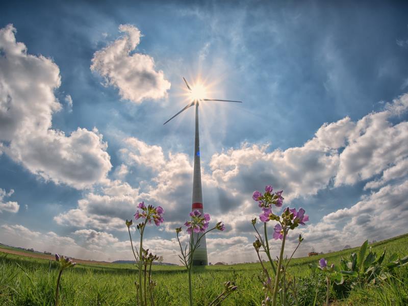 Escogit renewable eolic energy